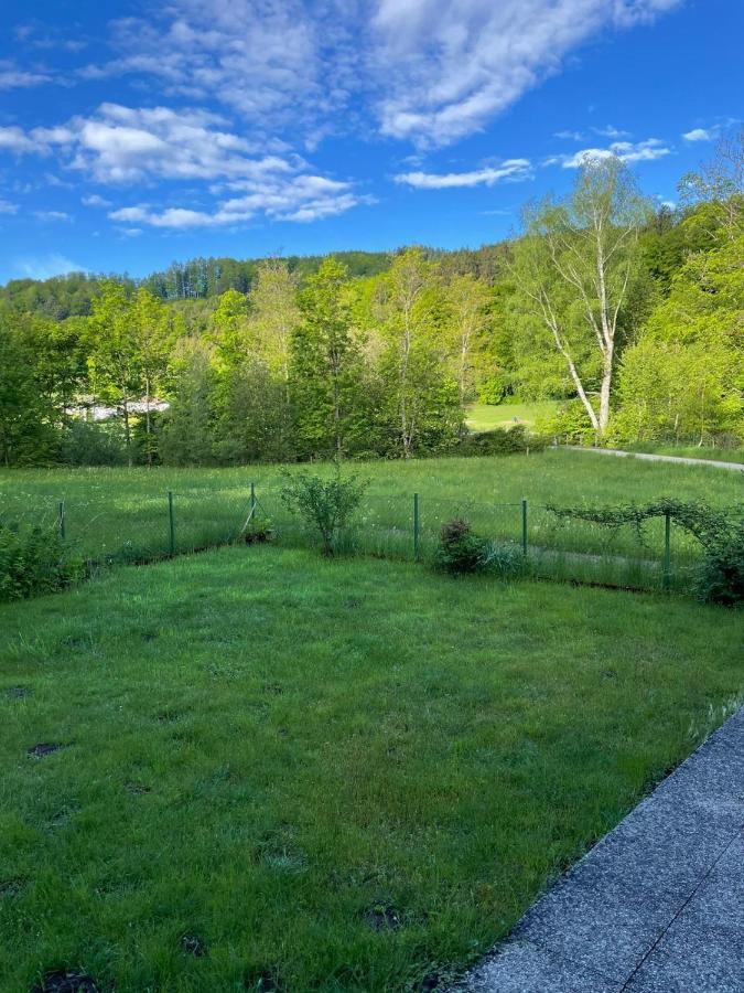 Haus Im Gruenen - Gmundennaehe Pinsdorf Buitenkant foto