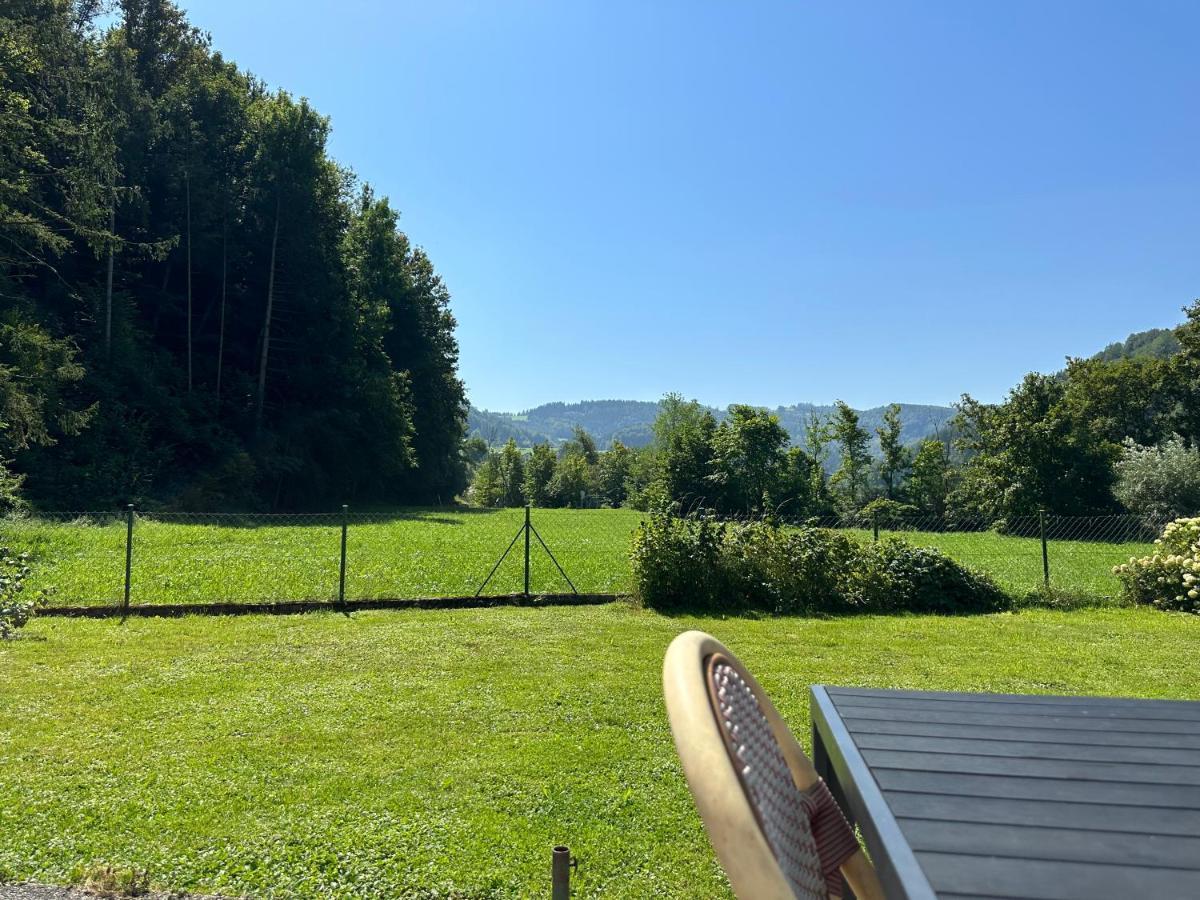 Haus Im Gruenen - Gmundennaehe Pinsdorf Buitenkant foto